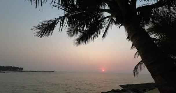 Sunset Gorial Beach Orrange Sky Cocnut Tree India Mumbai — Stockvideo