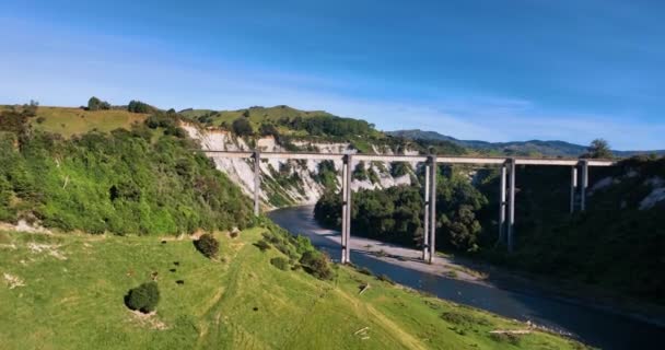 Πετώντας Προς Νότια Rangitikei Viaduct Πάνω Από Αγρόκτημα Και Βοοειδή — Αρχείο Βίντεο