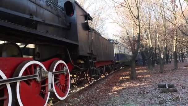 旧式蒸汽机车在农村景观中的应用 手持视点 — 图库视频影像