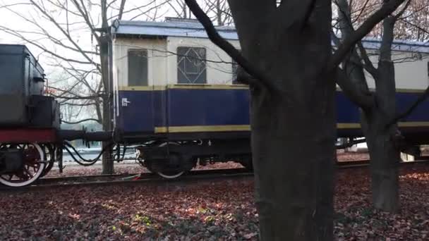 Der Altmodische Wagen Eines Antiken Dampfzuges Blieb Auf Den Schienen — Stockvideo