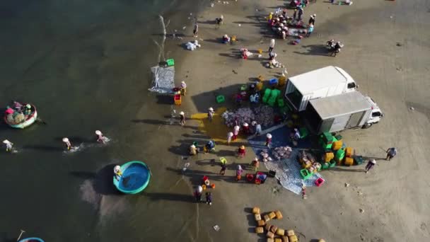 Aerial Backward View People Loading Trucks Seafood Beach Harbor Trucks — Stok video