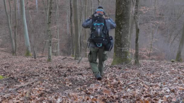 男性の写真家の観光客が下り坂の森の中を歩く 寒い早春の季節には 自然の中で一人でハイキングし すべてのフルバックパックとウォーキングスティックを装備 — ストック動画