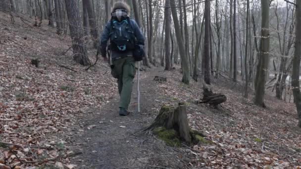 Турист Прогулюється Стежкою Лісі Досліджуючи Ліс Весняний Час Піднятий Рюкзак — стокове відео