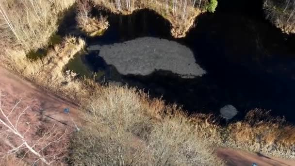 Pond Park Frozen Water Sunny Winter Day Aerial Drone — Stock videók