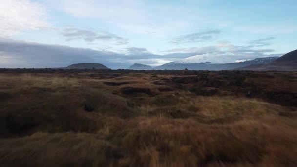 Ijsland Landschap Met Mos Luchtfoto Drone — Stockvideo