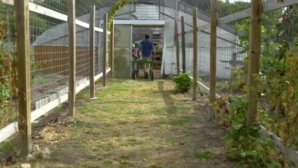 Farmer Walks Greenhouse — Stock videók