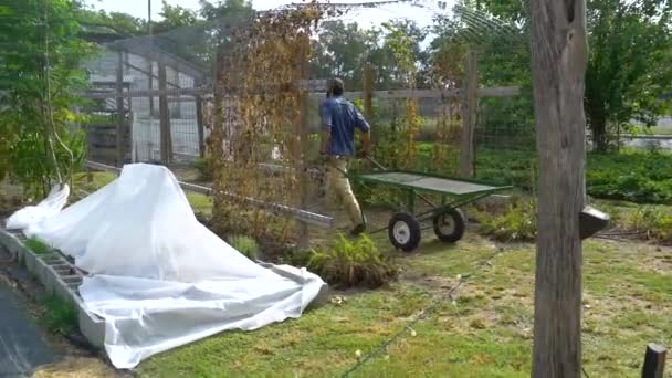 Agricultor Entra Numa Estufa — Vídeo de Stock