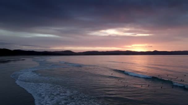 Oceano Cênico Com Aves Voando Acima Água Durante Pôr Sol — Vídeo de Stock