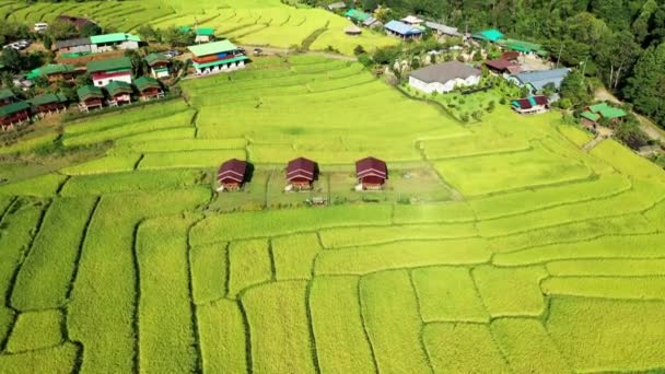 Vista Drones Cabanas Cercadas Por Campos Arroz Vistas Montanha Ásia — Vídeo de Stock