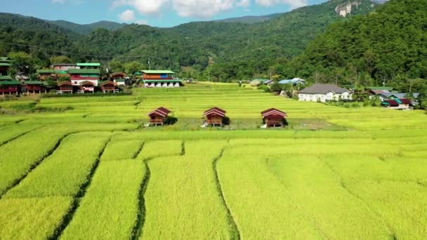 Drone Passing Cabins Surrounded Rice Fields Mountain Views Asia — Vídeo de Stock