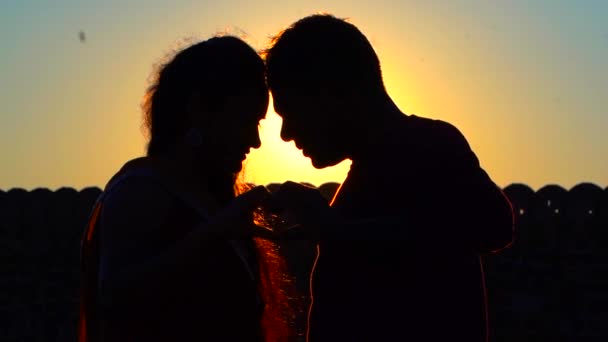 Silhouette Couple Love Making Symbol Heart Hands Sunset While Sun — Stockvideo