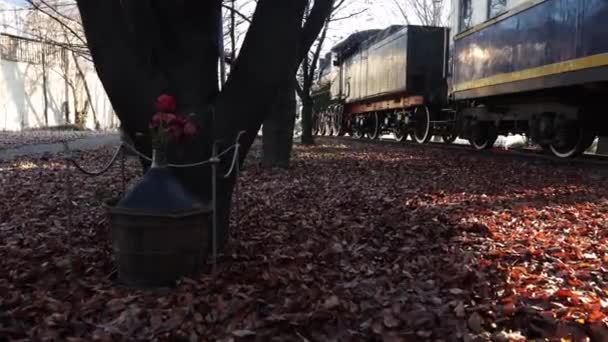 Ręczne Ujęcie Starego Zabytkowego Pociągu Lokomotywy Włoskiej Wsi — Wideo stockowe