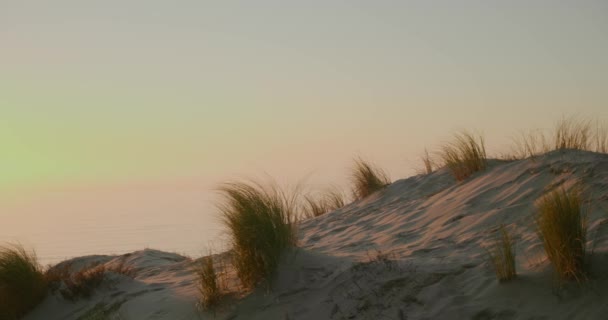 Panoramic View Sand Dunes Beachgrass Clouds Sky Sunset Panning Shot — Stock video