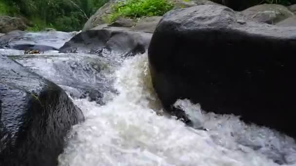 Agua Corriendo Del Río Fluye Través Las Rocas Negras Concepto — Vídeos de Stock