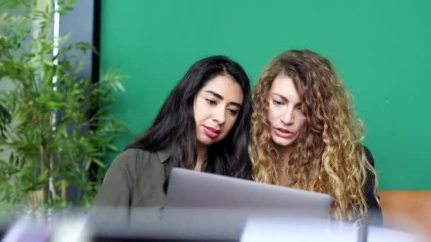 Couple Young Woman Different Race Ethnicity Working Remotely Together Focused — Video