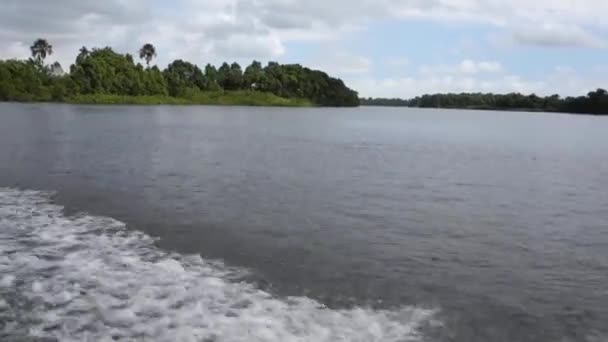 Scenic View Amazon Rainforest Large River Brazil Wide Shot — Vídeo de Stock