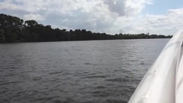 Scenic Boat Ride Amazon River Panoramic Wide Shot — Stock Video