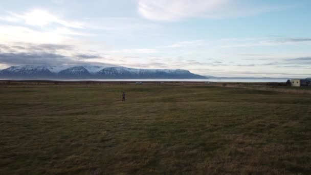 Icelandic Nature Man Walking Grass Drone View — Vídeos de Stock