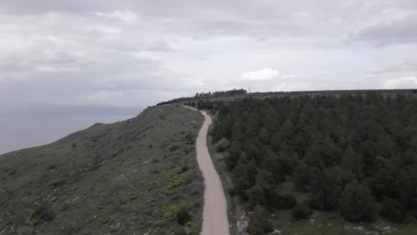 Luftaufnahme Fliegen Über Eine Leere Asphaltstraße Der Nähe Der Bäume — Stockvideo