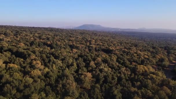 Aerial View Oak Forest Golan Heights Mount Hermon Oak Forest — Vídeo de Stock