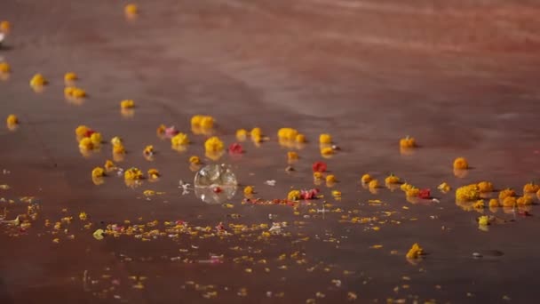 Marigold Flowers Washed Ganges Shore Ganga Aarti Triveni Ghat Rishikesh — стокове відео