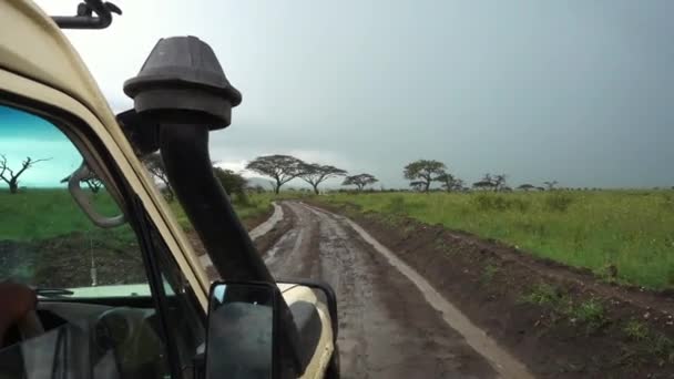 Safari Auto Rijden Door Modderige Weg Zware Regen Serengeti Tanzania — Stockvideo
