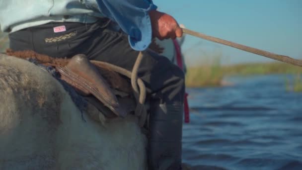 骑白马的乡下人骑过水绳 动作缓慢 — 图库视频影像