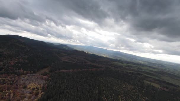 Drone Flying High Forest Landscape Cloudy Autumn Day Dense Dark — стокове відео