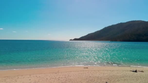 澳大利亚昆士兰州惠特松日群岛怀特黑文海滩的4K航向跟踪运动 — 图库视频影像