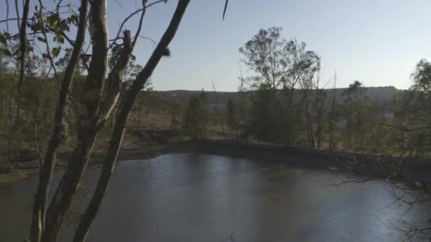 Uitzicht Bomen Een Dam Met Water — Stockvideo