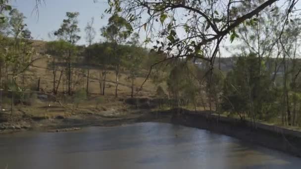 Landscape Dam Trees — Stok video