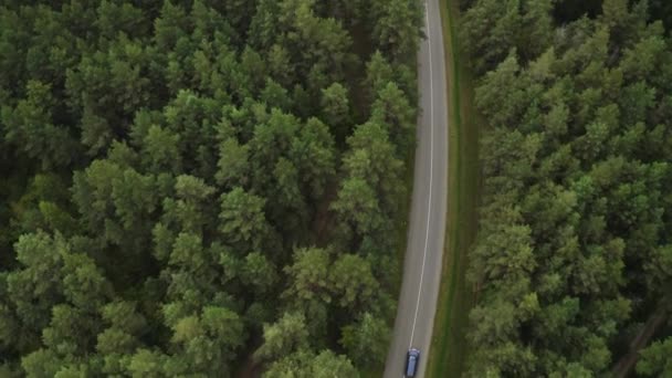 Drohnenschuss Von Einer Straße Durch Grünen Wald — Stockvideo