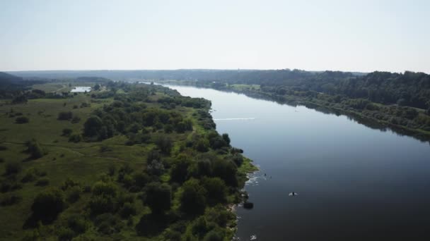 Річка Протікає Через Зелений Ліс Влітку Опівдні Мостом — стокове відео