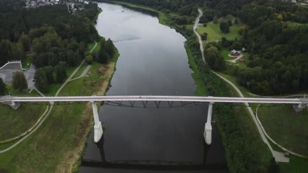 River Floating Green Forest Summer Midday Bridge — Stockvideo