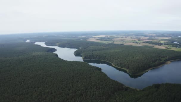 Rivière Flottant Travers Forêt Verte Pendant Été Midi — Video