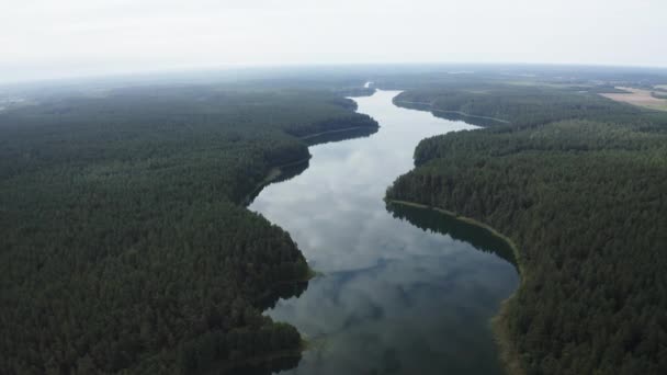 Rivière Flottant Travers Forêt Verte Pendant Été Midi — Video
