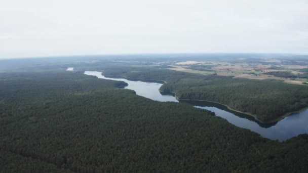 Drone Disparo Río Con Bosque Verde — Vídeo de stock