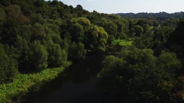 Річка Протікає Через Зелений Ліс Влітку Опівдні — стокове відео