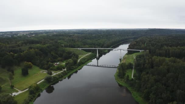 River Floating Green Forest Summer Midday — Vídeo de stock