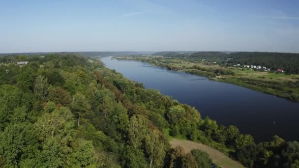 Río Flotando Través Del Bosque Verde Durante Mediodía Verano Con — Vídeos de Stock