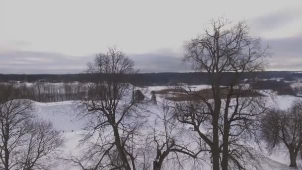 Árvores Velhas Monte Forte Nevado Inverno Inclinação Aérea Para Baixo — Vídeo de Stock