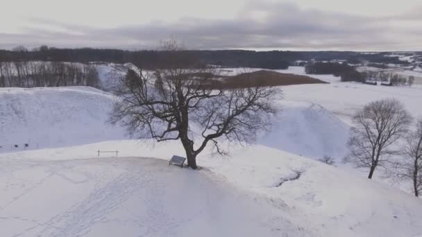 Old Tree Snowy Hill Fort Winter Aerial Tilt Shot — Vídeos de Stock