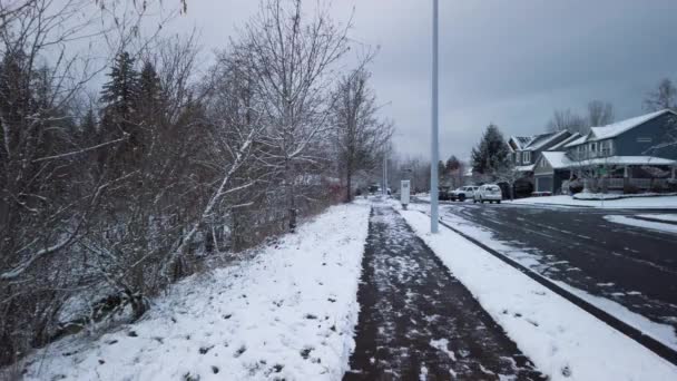 Spacer Śnieżnym Podmiejskim Chodniku Obok Drzew Domów Pochmurny Zimowy Dzień — Wideo stockowe