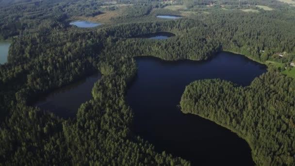 Drone Shot Lakes Green Forest Daytime — Vídeo de stock