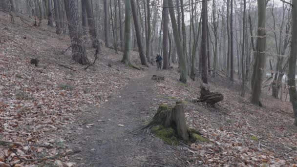 Чоловічий Фотограф Йде Лісу Йде Камери Стежці Національному Парку Один — стокове відео