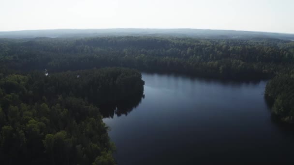 Дрон Стріляв Озеро Зелений Ліс Вдень — стокове відео