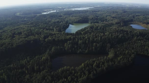 Drone Shot Lakes Green Forests Daytime — Stock video