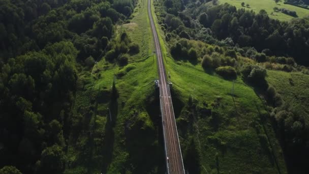 Drone Shot Small Town Lots Green Forest Bridge — Stockvideo