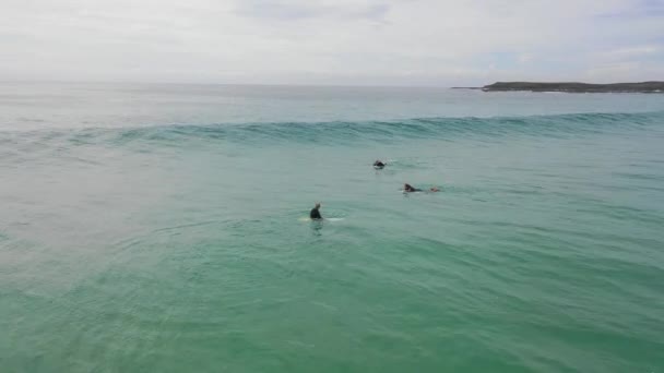 Surfer Lovaglás Egy Hullám Népszerű Úti Cél Moonee Beach Közelében — Stock videók