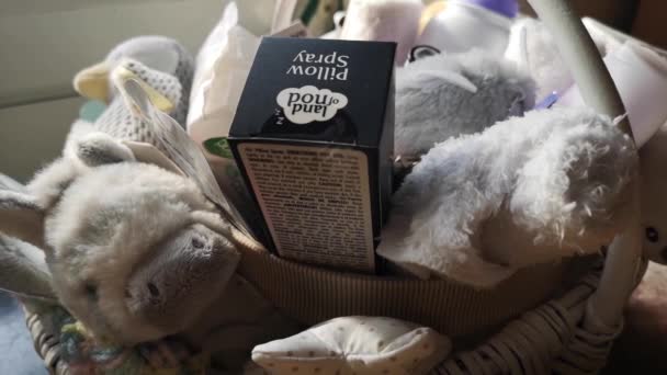 Mother Baby Shower Gift Basket Present Fluffy Plush Toys Parenting — Vídeo de Stock